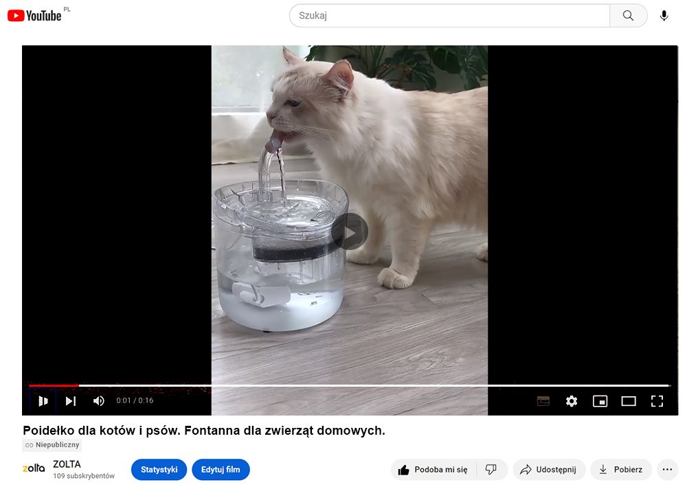 Poidełko dla zwierząt kota psa automatyczne fontanna