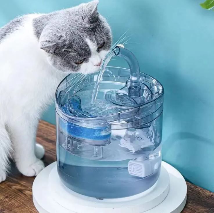 Poidełko dla zwierząt kota psa automatyczne fontanna