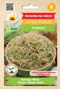 Kiełki Pszenica 50 g nasion na kiełki