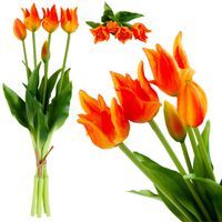 TULIPANY Tulipan PAPUZIE Bukiet GUMOWANE JAK ŻYWE