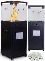 Parasol Grzewczy Gazowy Promiennik FLAME Heater WF-999 Płomień