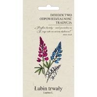 Nasiona Łubin trwały ogrodowy - mieszanka 2g