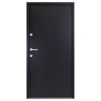 Aluminiowe drzwi zewnętrzne, antracytowe, 110 x 207,5 cm