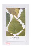 Antyrama B2 plexi 50x70 cm; 70x50 cm w opakowaniu Antyramy