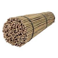 Tyczki bambusowe 120 cm 12/14 mm - 50 szt.