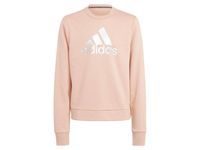 32253 / H26597 / Bluza dziecięca ADIDAS G BOS Crew 152