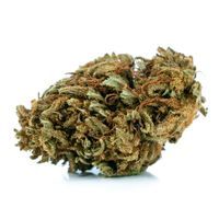 Susz CBD Jack Herer 50g