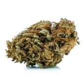 Susz CBD Jack Herer 50g