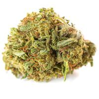 Susz konopny  Amnesia Haze CBD 100g