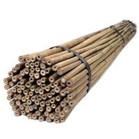 Tyczki bambusowe 150 cm 16/18 mm - 100 szt.