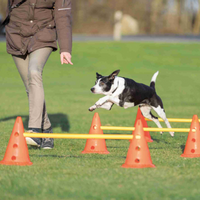 Tor przeszkód dla psa agility Dog Activity Trixie