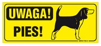 Tablica 23x10| Uwaga pies! Beagle