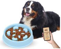 Miska spowalniająca jedzenie dla psa kota duża