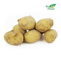 Ziemniaki białe młode świeże bio (polska) (około 10 kg)