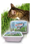 CERTECH Trawka szybkorosnąca dla kota 150g