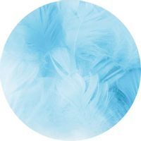 Piórka dekoracyjne "Krótkie", błękitne, PartyPal, 5-8 cm, 50 szt