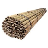 Tyczki bambusowe 240 cm 24/26 mm - 50 szt.