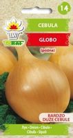 Cebula Globo bardzo duże cebule nasiona 2g