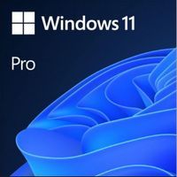 Windows 11 Pro OEM Aktywacja online !