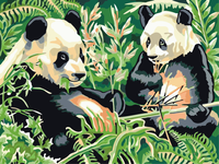 Malowanie po numerach – Panda - 30x40 rama