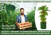 █▬█ █ ▀█▀  Doniczki Spinane 5 litrów najlepsze do pomidorów 18x20